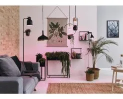 PAULMANN LED Grow Green Plantenlamp E27/6,5W PAR38 -LED-lampen Lamp Bulb Shop DV 8 10257754 05 4c AT 20221222084651