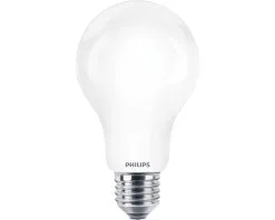 PHILIPS LED-lamp E27/13W Peervorm Mat Warmwit