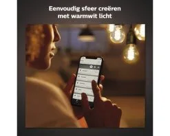 PHILIPS Hue White LED Filament Lamp E27/7W G125 -LED-lampen Lamp Bulb Shop DV 8 10391825 03 4c NL 20210113104650
