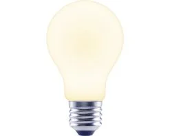 FLAIR LED Lamp E27/6,5W A60 Warmwit Mat -LED-lampen Lamp Bulb Shop DV 8 10437235 03 4c DE 20220104051657