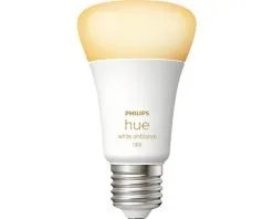 PHILIPS Hue White Ambiance LED-lamp E27/8W A60 Instelbaar Wit -LED-lampen Lamp Bulb Shop DV 8 10476582 05 4c DE 20230118174657