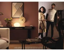 PHILIPS Hue White LED-lamp E27/9,5W A60 Warmwit, 2 Stuks -LED-lampen Lamp Bulb Shop DV 8 10476586 03 4c DE 20210809150404