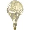 CALEX LED Filamentlamp XXL Organic Evo E27/6W Champagne -LED-lampen Lamp Bulb Shop DV 8 10659427 02 4c NL 20230203163818