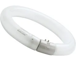 SYLVANIA TL-buis Ringvorm G10Q T9/40W Ø 400 Mm Neutraal Wit