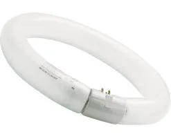 SYLVANIA TL-buis Ringvorm G10Q T9/32W Ø 299 Mm Warmwit
