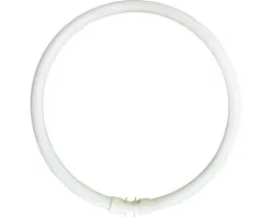 SYLVANIA TL-buis Ringvorm T5/22W Ø 225 Mm Warmwit